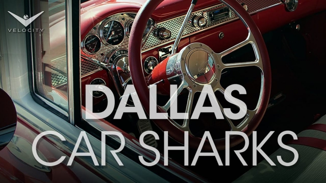 Dallas Car Sharks