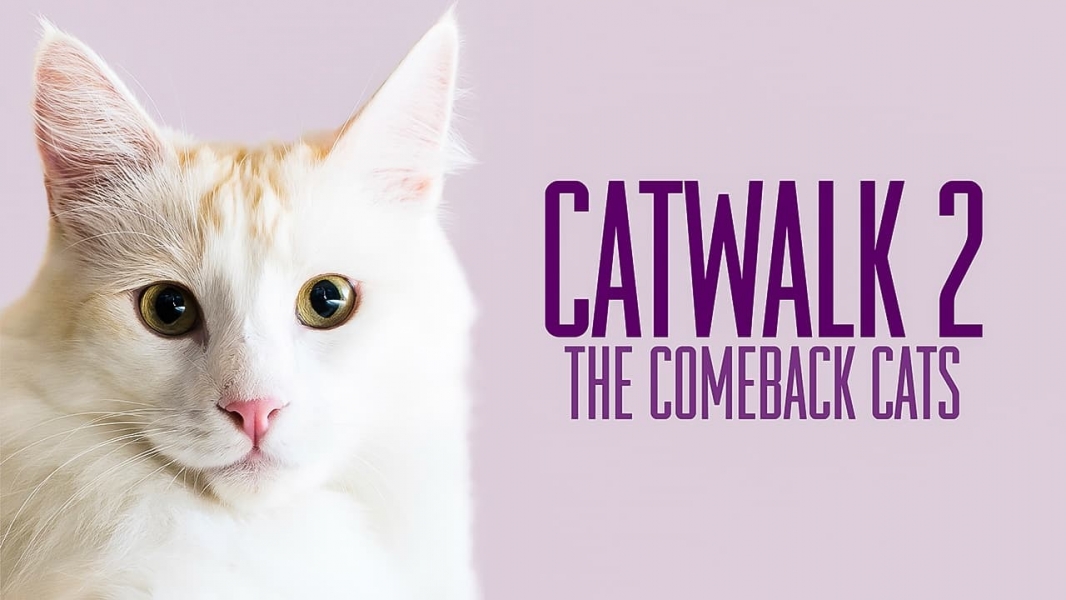 Catwalk 2: The Comeback Cats