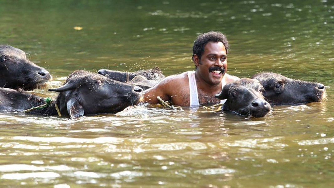 Chalakkudikkaran Changathi