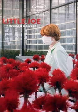 Little Joe