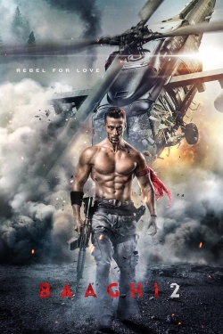 Baaghi 2